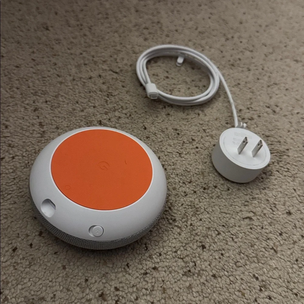 Google Gray Smart Speaker with White Charger